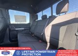 New 2025 Ford F150 XLT w/ Equipment Group 302A MID image 5