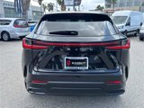 Used 2025 Lexus NX 350h AWD w/ Premium Package image 6