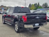 Used 2024 Ford F150 XLT image 5