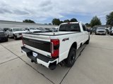 New 2025 Ford F350 Platinum image 4