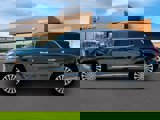 New 2025 Hyundai Palisade Calligraphy image 3