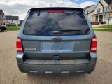 Used 2011 Ford Escape XLT w/ 202A Rapid Spec Order Code image 6