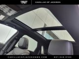 New 2025 Cadillac XT5 Premium Luxury w/ Technology Package image 5