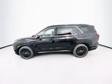 New 2025 Hyundai Palisade Calligraphy image 4