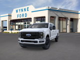 New 2025 Ford F250 Platinum image 2