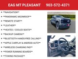 New 2025 Ford F250 Platinum image 4