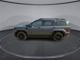 New 2025 Hyundai Santa Fe Calligraphy image 5