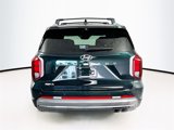 New 2025 Hyundai Palisade Calligraphy image 5