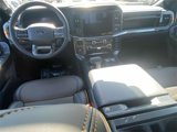 New 2025 Ford F150 Tremor w/ Equipment Group 402A High image 6