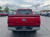 New 2024 Ford F150 XLT w/ Equipment Group 303A High image 4
