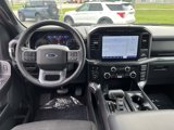 Used 2023 Ford F150 XLT w/ Equipment Group 302A High image 4