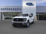 New 2025 Ford F150 XL w/ Equipment Group 103A High image 2