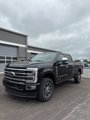 New 2025 Ford F250 Platinum image 2