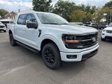 New 2025 Ford F150 XLT image 2