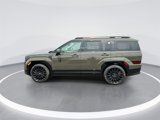 New 2025 Hyundai Santa Fe Calligraphy image 5