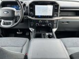 New 2025 Ford F150 XLT w/ Equipment Group 302A MID image 6