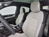 New 2025 Porsche Cayenne Coupe image 5