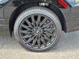 New 2025 Hyundai Santa Fe Calligraphy image 6