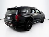 Used 2024 Hyundai Palisade Calligraphy image 5