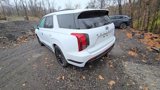 New 2025 Hyundai Palisade Calligraphy image 4