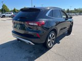 Used 2024 Ford Escape Platinum w/ Class II Trailer Tow Package image 4