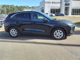 Used 2024 Ford Escape Active image 2