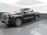 New 2025 Toyota Tundra 1794 Edition image 6