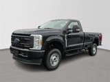 New 2025 Ford F250 4x4 Regular Cab Super Duty image 2