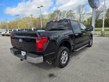 New 2025 Ford F150 XLT w/ Equipment Group 301A Standard image 4