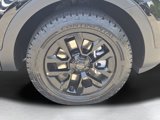 New 2025 Kia Telluride SX Prestige X-Pro image 6