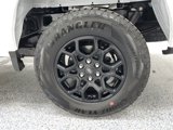 New 2025 Ford F150 XLT image 5
