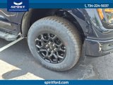 New 2025 Ford F150 XLT w/ Equipment Group 302A MID image 4