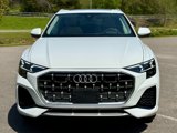 Used 2024 Audi Q8 Prestige image 5
