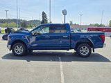 New 2025 Ford F150 XLT image 6