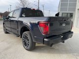 New 2025 Ford F150 XLT image 6