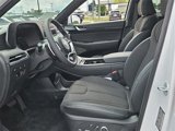 New 2025 Hyundai Palisade Calligraphy image 5