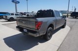 New 2025 Ford F150 Platinum image 3