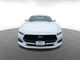Used 2024 Ford Mustang Premium image 4