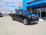 New 2025 GMC Sierra 1500 Denali w/ Denali Reserve Package image 3