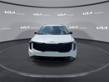 New 2026 Kia Carnival SX Prestige image 5
