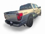 New 2025 Ford F150 STX w/ STX Black Appearance Package image 4
