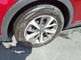 Used 2019 Kia Sorento EX w/ EX Touring Package image 4
