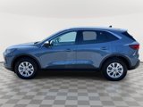 Used 2024 Ford Escape Active w/ Tech Pack #1 image 4