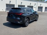 Certified 2025 Lexus NX 350 AWD w/ Premium Package image 5