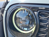 New 2025 Jeep Wrangler Willys image 6