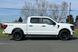 New 2025 Ford F150 STX w/ STX Black Appearance Package image 3