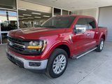 New 2025 Ford F150 XLT w/ Equipment Group 302A MID image 3