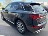 New 2025 Audi SQ5 Premium Plus image 6