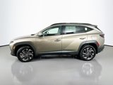 New 2025 Hyundai Tucson Limited image 4
