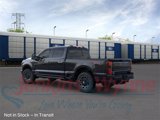 New 2025 Ford F250 Platinum image 4